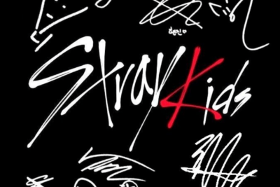 Stray kids apodos